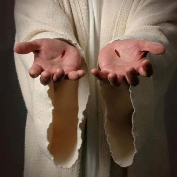 Meet your Posher, Evan - Picture 1 of 1